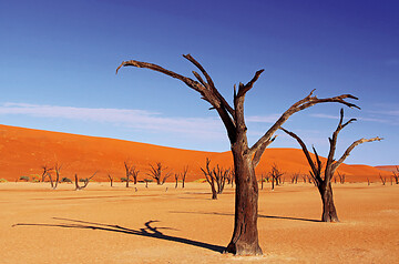 Namibia – Sonne, Sand und Meer (von Dr. Robert Kraus)