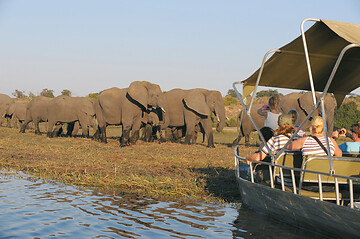 Botsuana: Chobe Nationalpark (von Christian Kneissl)