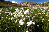 Landmannalaugar (C) Dirk Bleyer