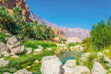 Faszination Oman (von Elisabeth Kneissl-Neumayer)